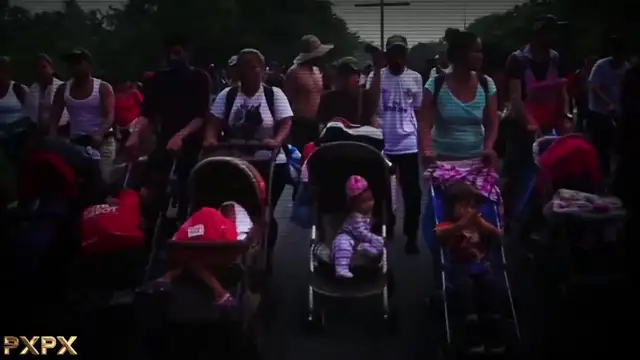 NIght Nation Review on 20-Aug-24-23:00:59