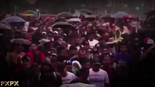 NIght Nation Review on 13-Sep-24-22:44:59