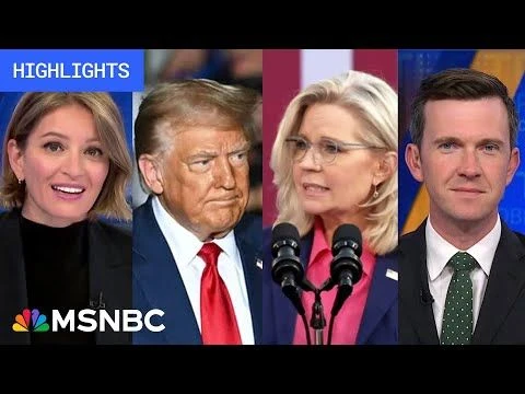 Countdown to the 2024 election: Day 32 | MSNBC Highlights