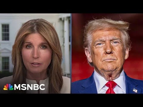 ‘We all watched, we all saw him fail’: Nicolle Wallace on Trumps past handling of a national crisis