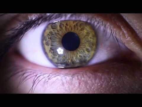 ¨LO QUE EL OJO NO VE¨ Documentales  interesantes de History channel en español