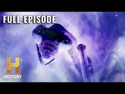 Ancient Aliens: INSECT GODS OF DEEP SPACE (S7, E7) | Full Episode