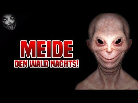 Die Waldbegegnung (Horrorgeschichten mit World Creepypasta)