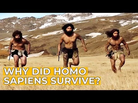 Lost Humans | Part 2: The Rise of Homo Sapiens | FD Ancient History