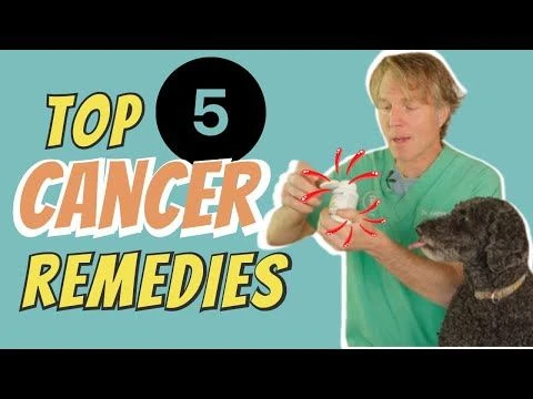 Cancer in Dogs and Cats: Top 5 Natural Remedies