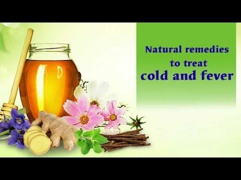 Natural remedies to treat cold and fever - Onlymyhealth.com