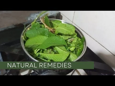 NATURAL AND HOME REMEDIES FOR TYPHOID FEVER....TREATMENTs