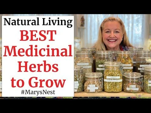 10 Essential Medicinal Herbs to Grow for Making Home Remedies