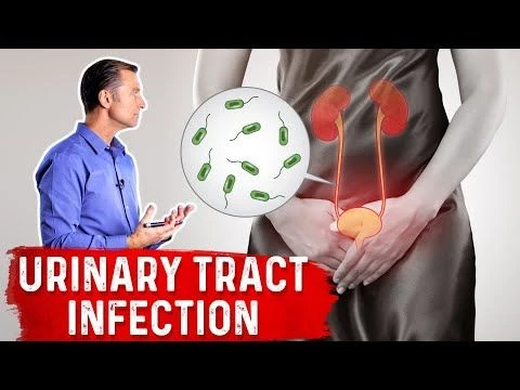 Top Natural Remedies for a UTI (Urinary Tract Infection)