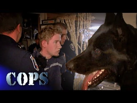 🐕‍🦺 Hide And Seek With The K9 Unit - Assistance Call | Cops TV Show