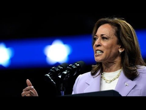 ‘Absolute meltdown’: Lefties lash out after Kamala’s Fox News interview