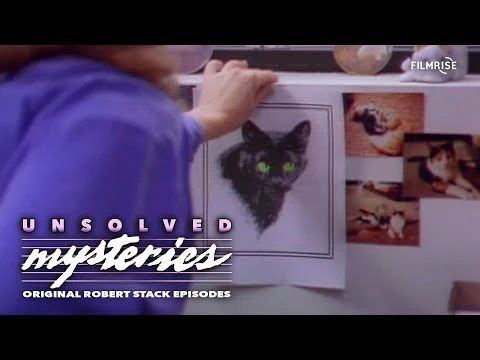 Unsolved Mysteries with Robert Stack - Season 6, Episode 17 - Full Episode