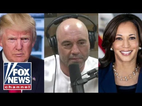 MSNBC analyst mocked for #39;ridiculous#39; theory on Trump