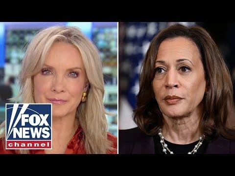 Dana Perino: This is almost professionally insulting