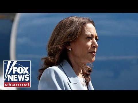 Harris surrogate admits she felt #39;misled#39;: #39;Billion-dollar disaster#39;