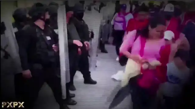 NNR/PXPX on 28-Nov-24-21:50:08