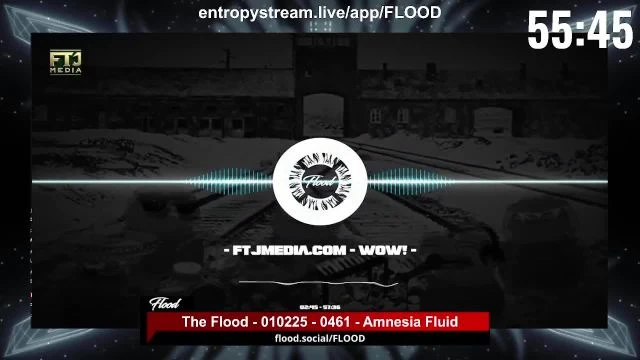 The Flood - 010225 - 0461 - Amnesia Fluid on 02-Jan-25-05:53:57