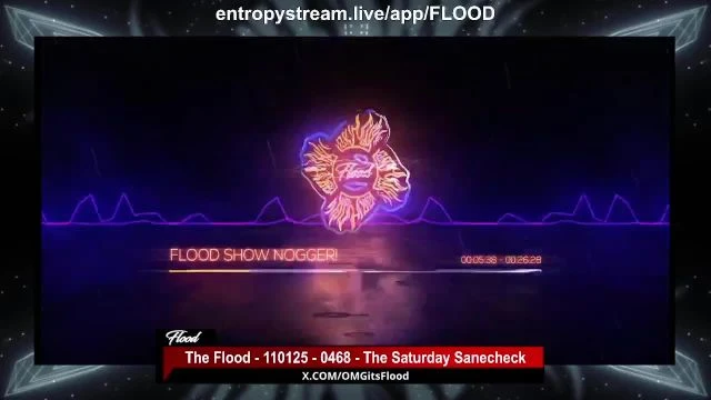 The Flood - 110125 - 0468 - The Saturday Sanecheck on 11-Jan-25-05:55:34