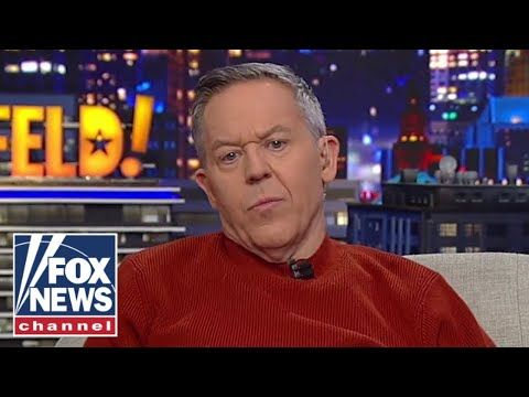 Greg Gutfeld: None of the senators had anything on Hegseth