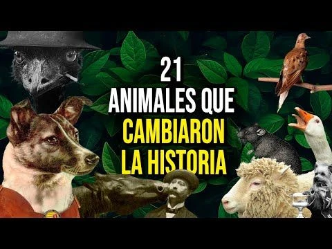 21 animales que cambiaron la historia