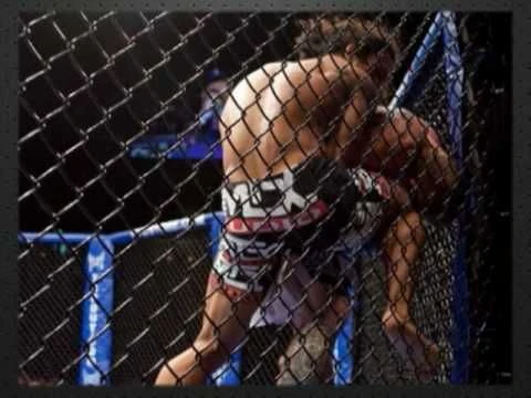 Fight News: WEC 48: Aldo vs. Faber Recap