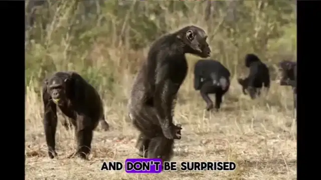 The Sane Asylum #299  Based Monday - 10FEB25 on 10-Feb-25-12:00:18