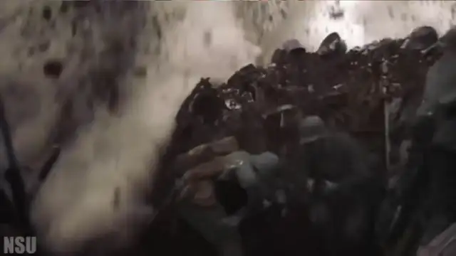 The Sane Asylum Based Hump Day #304 - 26FEB25  on 26-Feb-25-12:00:05