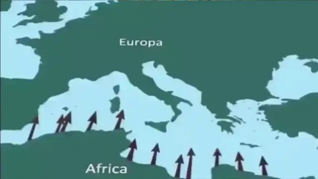 The Sane Asylum Based Hump Day #308 - 12MARCH25  on 12-Mar-25-12:00:20