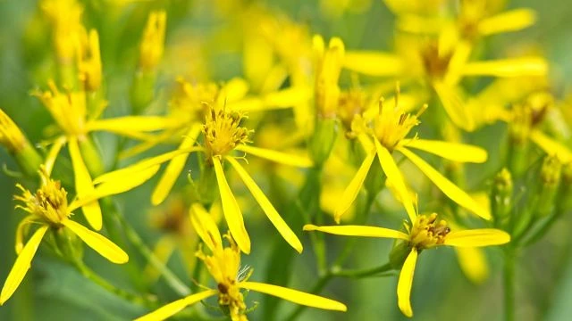 Being Mindful on 10-Feb-26-06:46:25