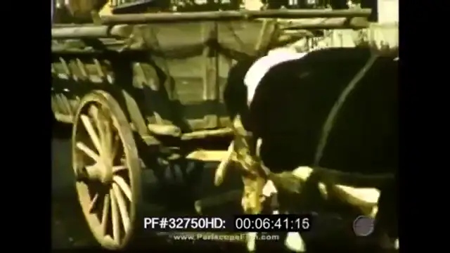 What Was National Socialism?