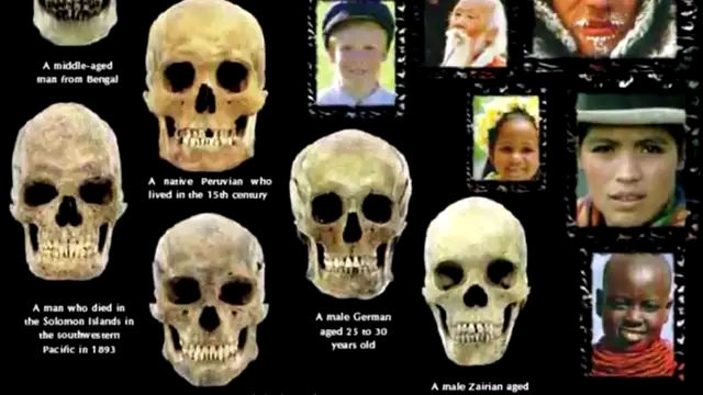 Dugins 4th Political Theory (Concept & Ideology)