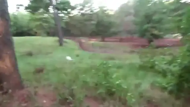 Jim and Diane, WALK AND TALK, Sept 11, 2023, 9-11, HOAXBUSTERS, TRUMP, DUKE, GEMMA, MEIN KAMPF