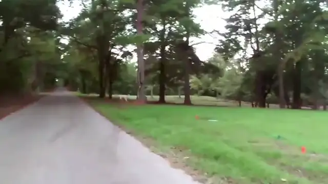 Jim and Diane, WALK AND TALK, Sept 16, 2023, BSA, GENETIC TESTING, David Irving, Hoax Denier Denial