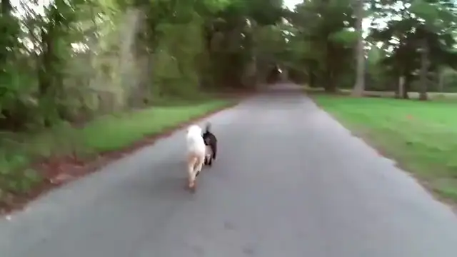 Jim and Diane, WALK AND TALK, Sept 17, 2023, HOLOCAUST ENCYCLOPEDIA, ADL, GERMAN POWs and more