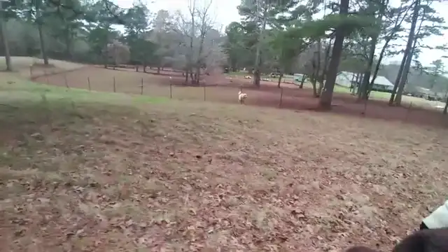 Jim and Diane, WALK AND TALK, Feb 12, 2024, DRESDEN, HOLOHOAX Details, HOLOCAUST ENCYCLOPEDIA