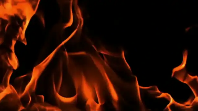 The Fall of the Cabal - Pedos Run the world - JoshWhoX