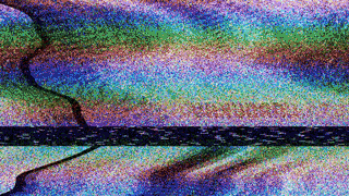 Obama birth certificate