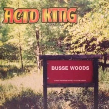 Acid King - Drive Fast Take Chances