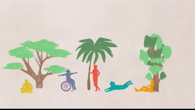 Diversity: A Singular Experience