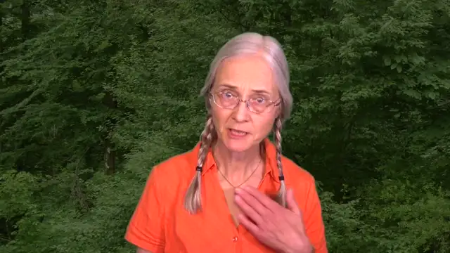 DE 3) Entschuldigung Mama, auch ich glaubte an den Holoschwindel