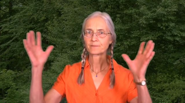 DE 3) Entschuldigung Mama, auch ich glaubte an den Holoschwindel