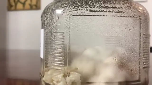 The Power of Your Intentions (The Rice Experiment)