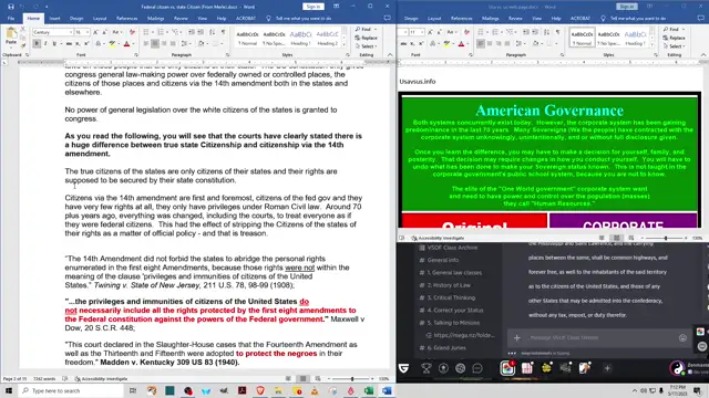 🔵 Two different Citizens in America - Choose your side! #status #truth #deepstate #lawfare