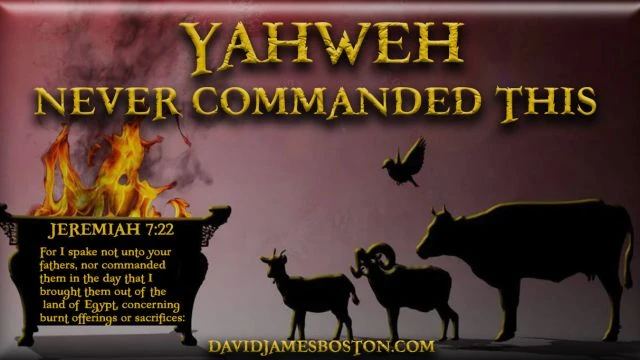 This Show is a Bombshell Heavy Revelation - 17th March, 2023 - 1hr1m